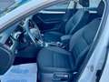 Skoda Octavia 1.6 TDI CR 115 CV Wagon Executive Bianco - thumbnail 8