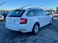 Skoda Octavia 1.6 TDI CR 115 CV Wagon Executive Bianco - thumbnail 4