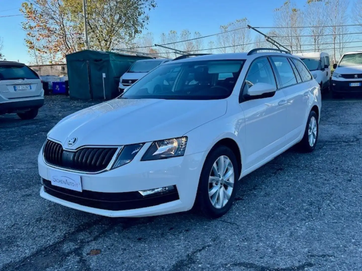Skoda Octavia 1.6 TDI CR 115 CV Wagon Executive Bianco - 2