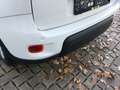 Fiat Panda Hybrid Weiß - thumbnail 16