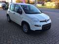 Fiat Panda Hybrid Weiß - thumbnail 4