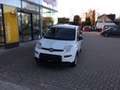 Fiat Panda Hybrid Weiß - thumbnail 1