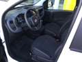 Fiat Panda Hybrid Weiß - thumbnail 9