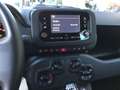 Fiat Panda Hybrid Weiß - thumbnail 15