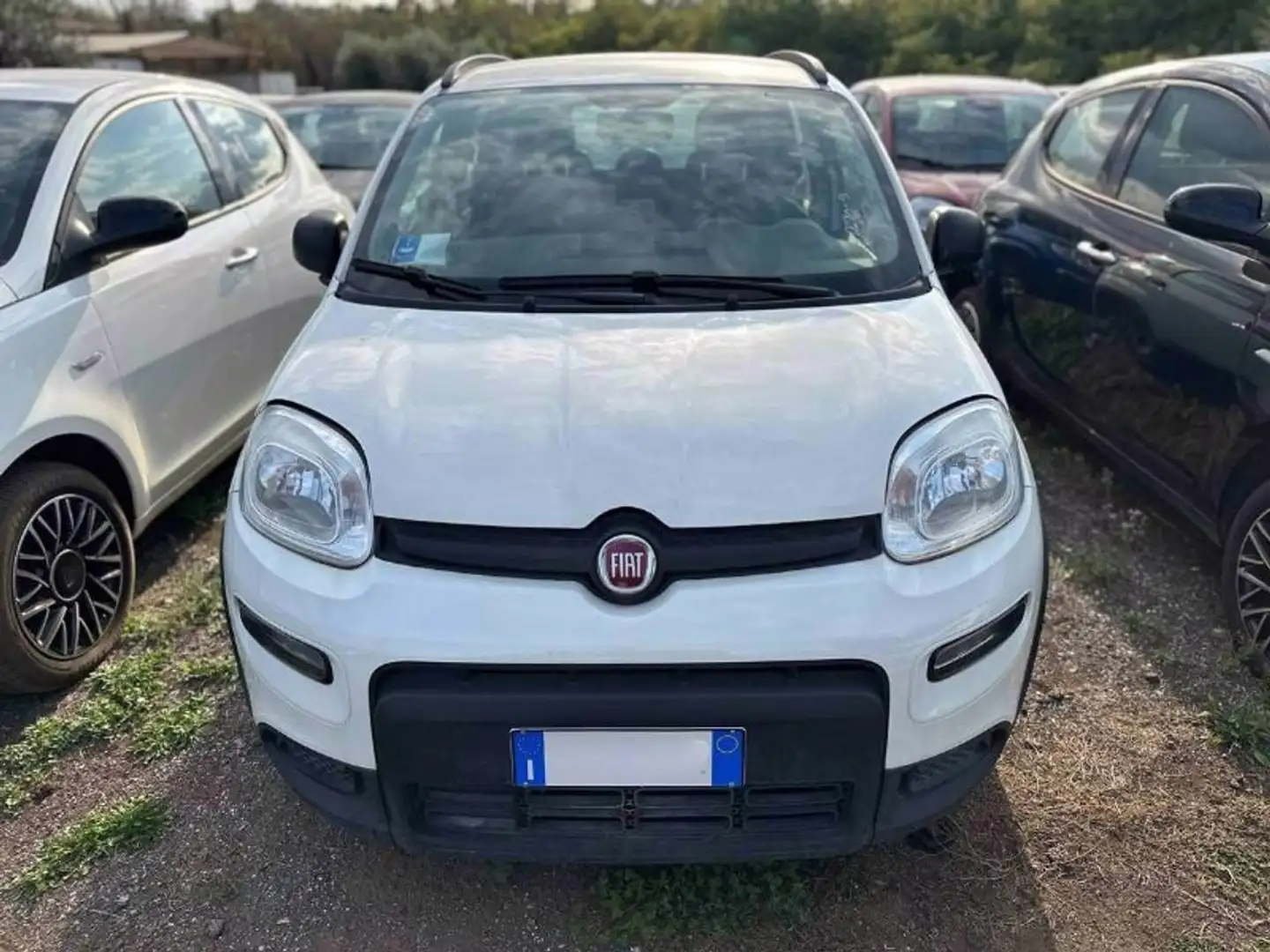 Fiat Panda 1.0 FireFly Hybrid Weiß - 1