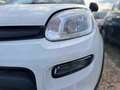 Fiat Panda 1.0 FireFly Hybrid Weiß - thumbnail 3