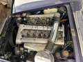Alfa Romeo 2600 Sprint Coupe, Motor Neu, sehr guter Zustand! Blauw - thumbnail 18