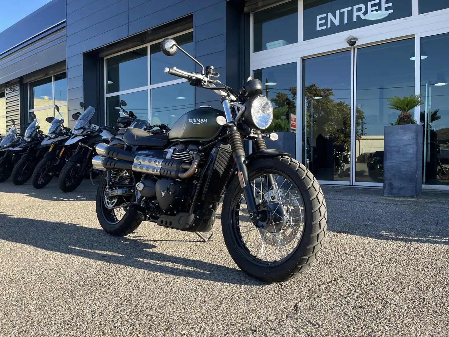 Triumph Scrambler - 2