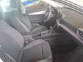 SEAT Leon FR 1.0 TSI Weiß - thumbnail 16