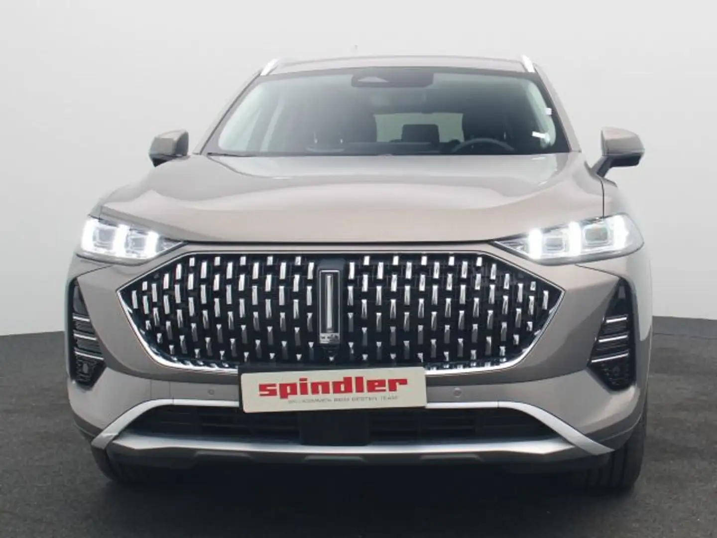 GWM WEY 05 Premium 🔥 MEGADEAL 🔥 BESCHREIBUNG LESEN Grau - 2