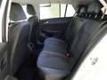 Volkswagen Golf VW Golf Rabbit TDI, 2024 Weiß - thumbnail 11