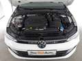 Volkswagen Golf VW Golf Rabbit TDI, 2024 Weiß - thumbnail 13