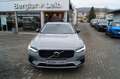 Volvo V90 T6 AWD Plug-in Hybrid Plus Dark Aut/AHK/360° Gris - thumbnail 1