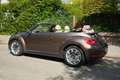 Volkswagen New Beetle New Beetle Cabriolet 1.9 TDI DPF Bruin - thumbnail 4