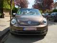 Volkswagen New Beetle New Beetle Cabriolet 1.9 TDI DPF Bruin - thumbnail 3