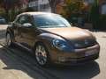 Volkswagen New Beetle New Beetle Cabriolet 1.9 TDI DPF Bruin - thumbnail 8