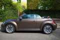 Volkswagen New Beetle New Beetle Cabriolet 1.9 TDI DPF Bruin - thumbnail 6