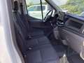 Ford Transit 350 L4H3 Lkw HA Trend Trennwand Metall beh.Fronts Weiß - thumbnail 13