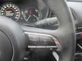 Mazda CX-30 /G140/AT/Homura Grau - thumbnail 16