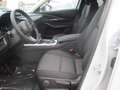Mazda CX-30 /G140/AT/Homura Grau - thumbnail 12