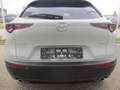 Mazda CX-30 /G140/AT/Homura Grau - thumbnail 7