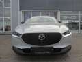 Mazda CX-30 /G140/AT/Homura Grau - thumbnail 3