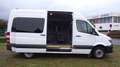Mercedes-Benz Sprinter 313 (Stock ID 12359) Wit - thumbnail 11