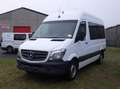 Mercedes-Benz Sprinter 313 (Stock ID 12359) Wit - thumbnail 1
