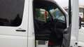 Mercedes-Benz Sprinter 313 (Stock ID 12359) Wit - thumbnail 15