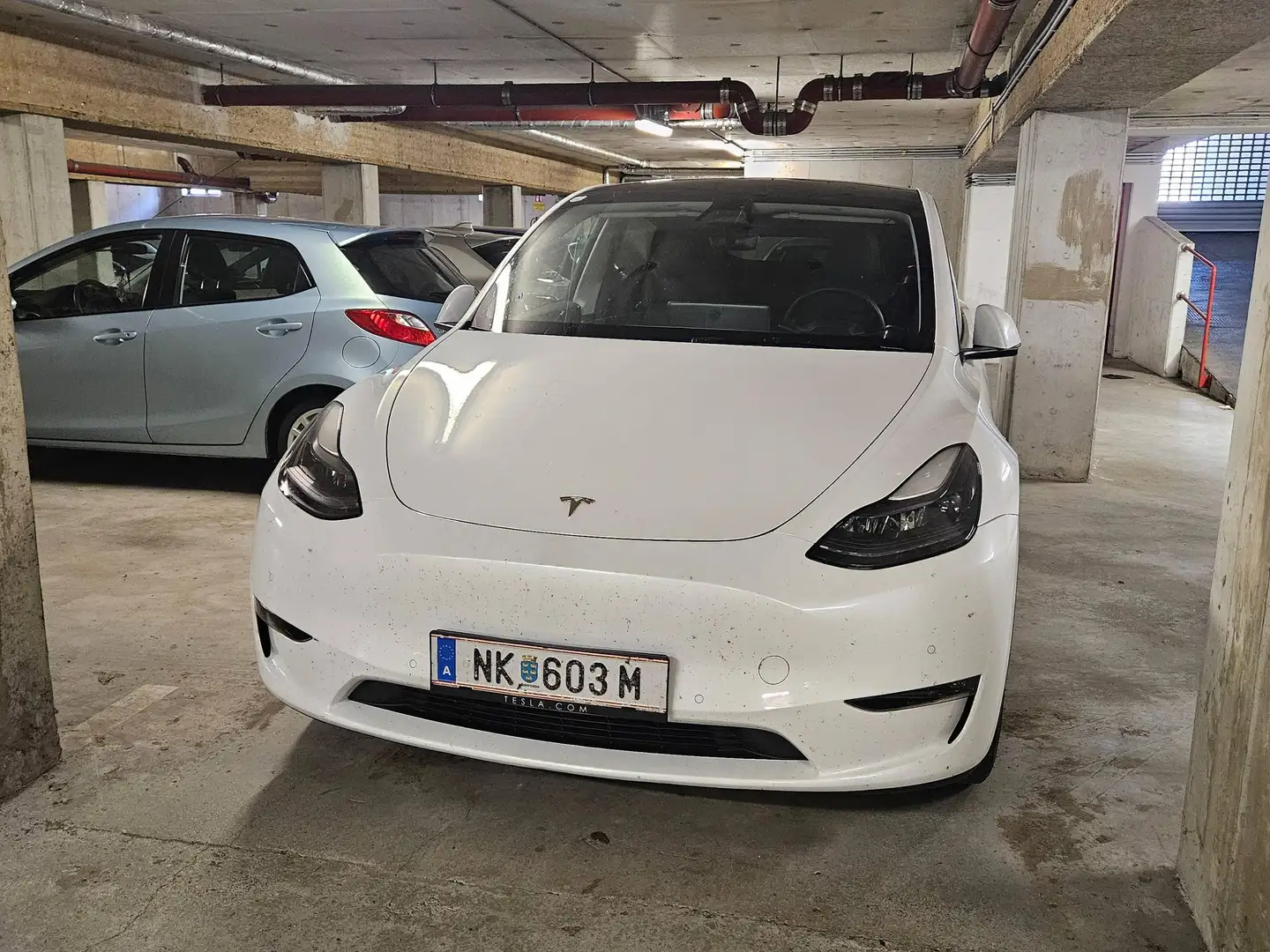 Tesla Model Y Model Y Long Range AWD 75kWh Weiß - 2