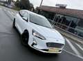 Ford Focus Focus 2.0 EcoBlue Sport-Line Business Blanc - thumbnail 5