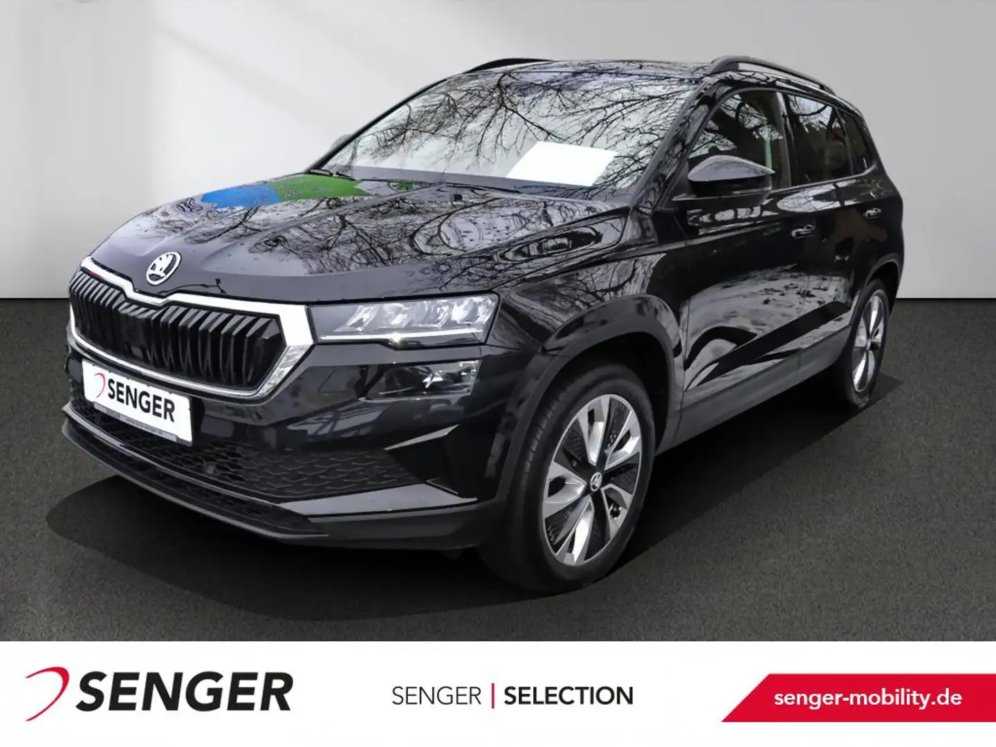 Skoda Karoq 2.0 TDI Style 4x4 Navi AHK Sitzhzg. Kamera Noir - 1