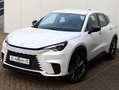 Lexus LBX Relax 2WD | Tech Pack | Memory Seat | El Achterkle Blanc - thumbnail 31