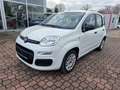 Fiat Panda LPG Autogas Weiß - thumbnail 1