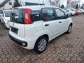 Fiat Panda LPG Autogas Weiß - thumbnail 9