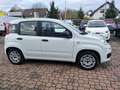 Fiat Panda LPG Autogas Weiß - thumbnail 5