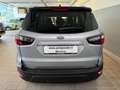 Ford EcoSport 1.0 EcoBoost 125 CV Start&Stop Active Silber - thumbnail 7