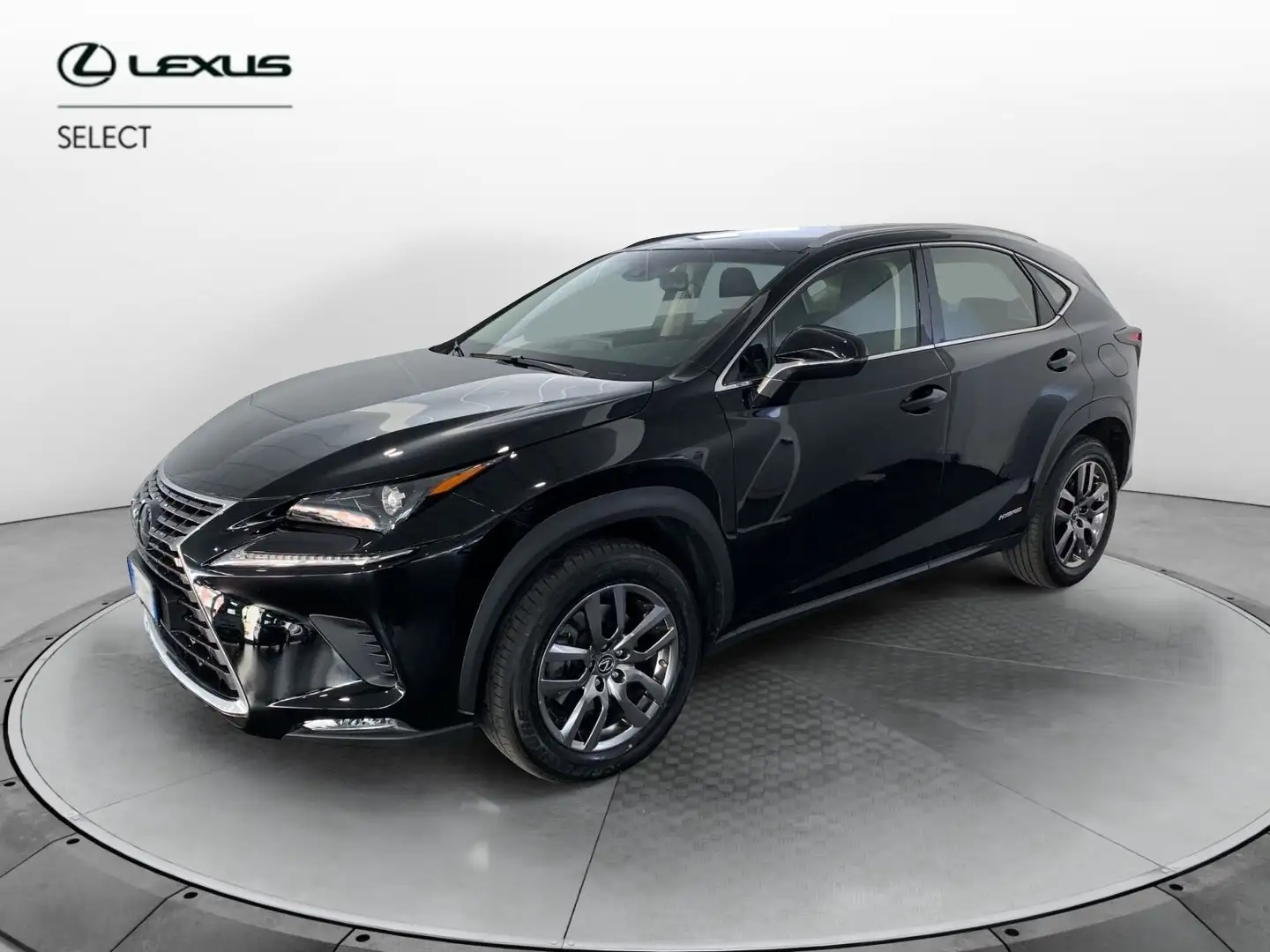 Lexus NX 300 h 2.5 Business 4wd cvt Nero - 1