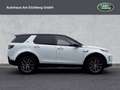 Land Rover Discovery Sport D165 Dynamic SE Alb - thumbnail 6