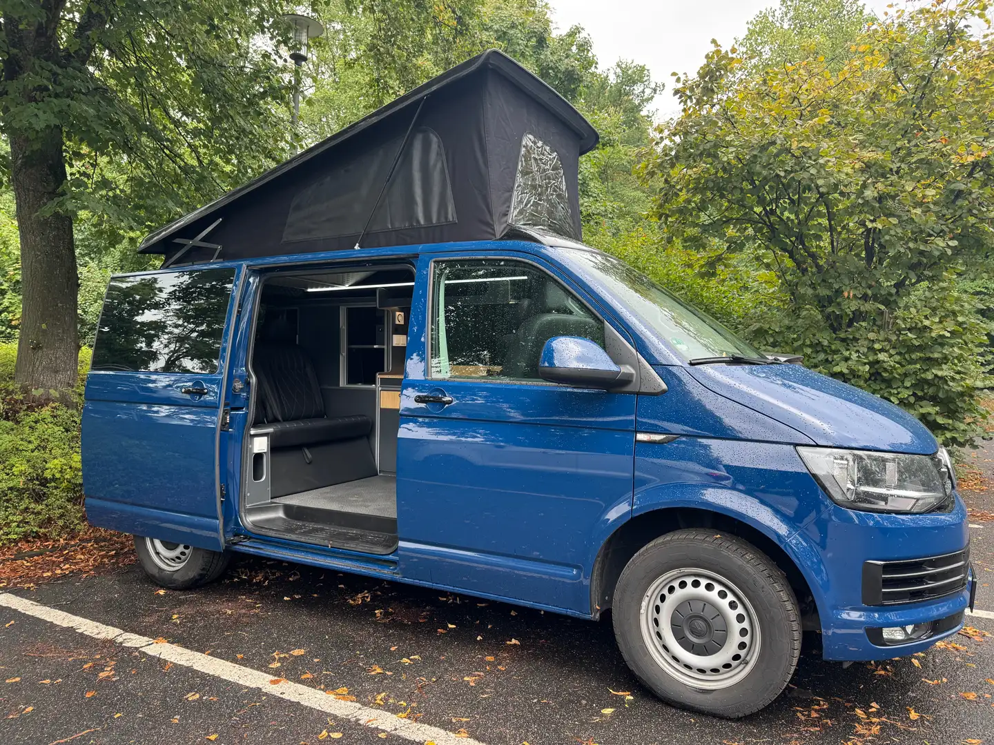 Volkswagen T6 California Transporter T6 Kurz  EU6 Blau - 2