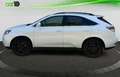 Lexus RX 350 Blanco - thumbnail 19