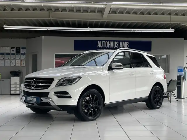 Mercedes-Benz ML 250 CDI BlueTec 4MATIC Schiebed. Spurh.Kamera