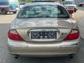 Jaguar S-Type S-Type 4,0 V8 Aut. / Pickerl NEU / Erstbesitz / Beige - thumbnail 6