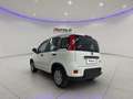 Fiat Panda 1.0 FireFly S&S Hybrid SENZA FINANZIAMENTO Weiß - thumbnail 6