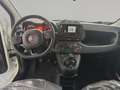 Fiat Panda 1.0 FireFly S&S Hybrid SENZA FINANZIAMENTO Weiß - thumbnail 10