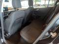 Ford Focus Turnier 1,5 EcoBlue Titanium X Aut. Schwarz - thumbnail 9