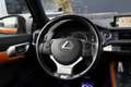 Lexus CT 200h F Sport Line | zeer exclusief | fabrieksnavi/bluet Arancione - thumbnail 26