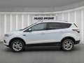 Ford Kuga 1.5 EcoBoost Titanium 4x2 AHK Wit - thumbnail 2