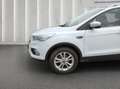 Ford Kuga 1.5 EcoBoost Titanium 4x2 AHK Wit - thumbnail 9