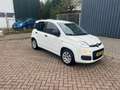 Fiat Panda 0.9 TwinAir Edizione Cool Airco Mist lampen Voor E Wit - thumbnail 9
